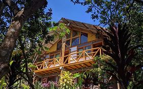 Eco Hotel Manu Viajeros