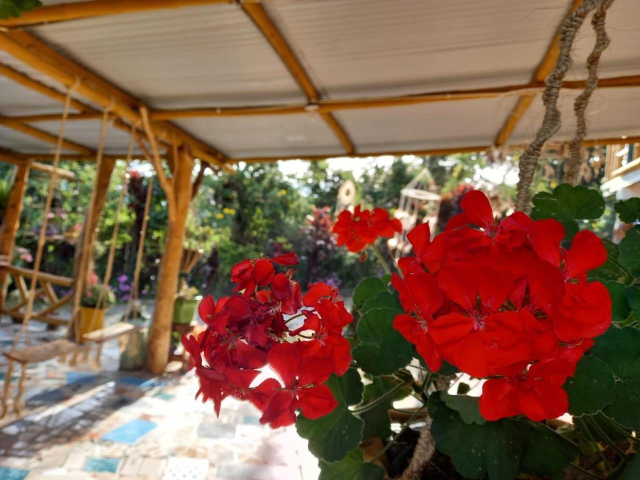 Eco Hotel Manu Viajeros San Agustín Extérieur photo