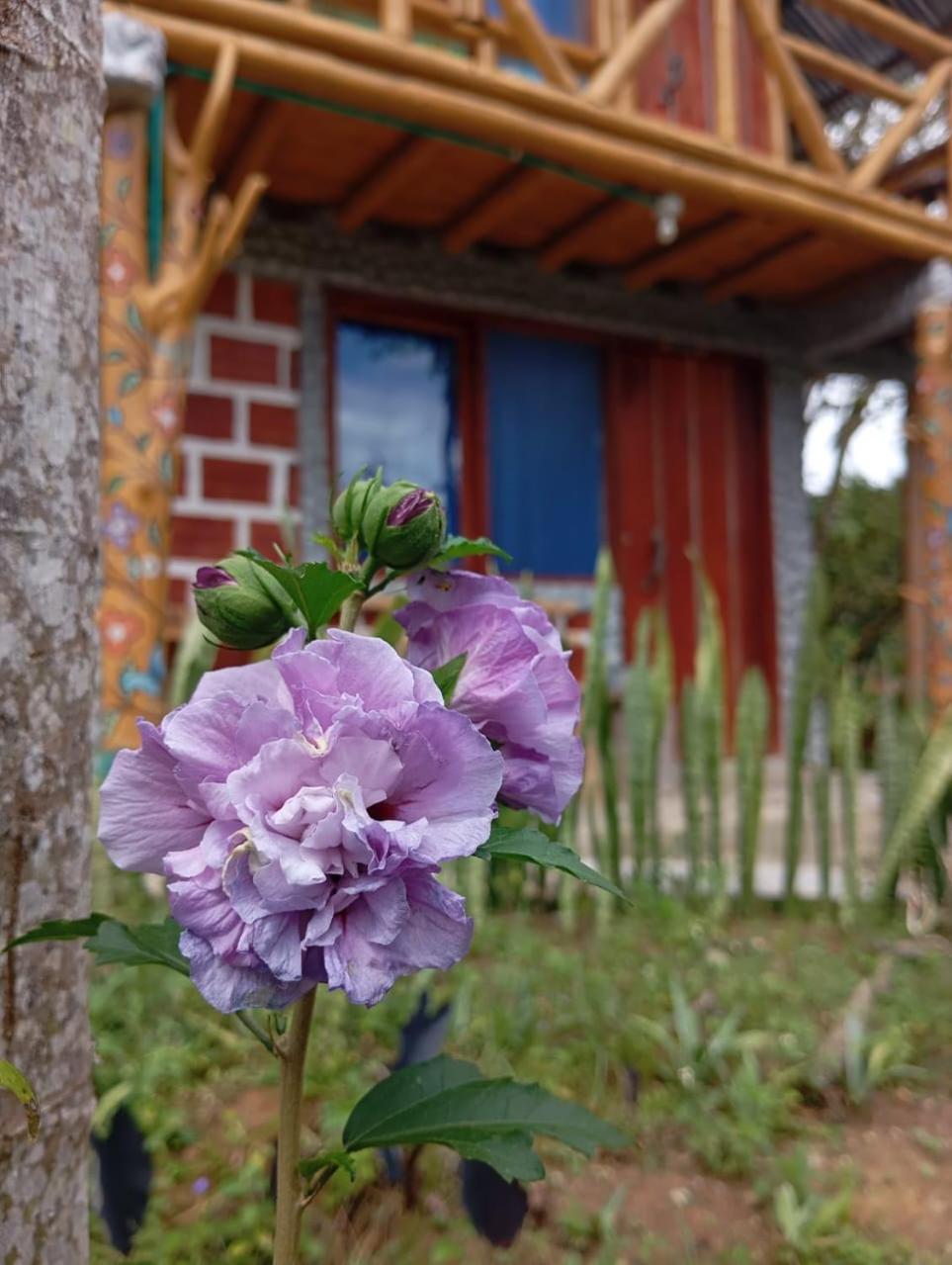 Eco Hotel Manu Viajeros San Agustín Extérieur photo