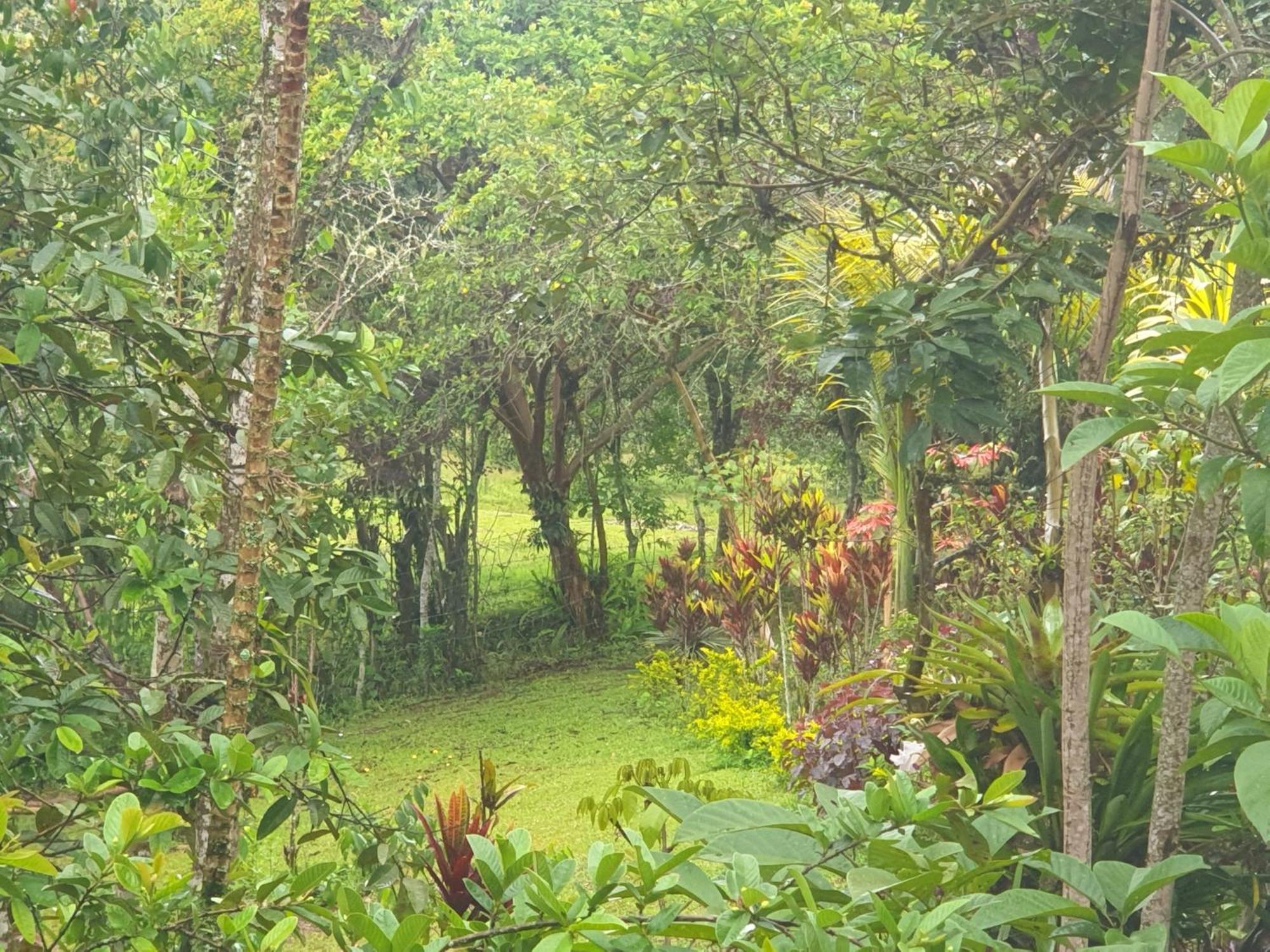 Eco Hotel Manu Viajeros San Agustín Extérieur photo